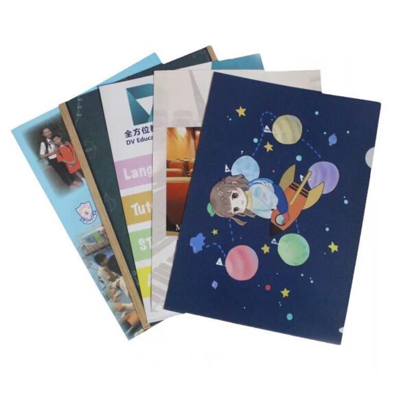 Custom Printed File Folders